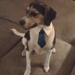 Meet your Posher, Kevin